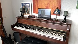 Windows 11, macOS, Linux, iOS, Android alle Plattformen