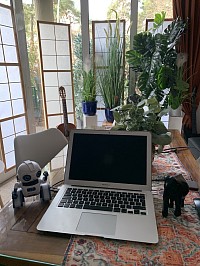 Direkt aus dem Kiez Berlin Dahlem & Schmargendorf  und ohne Kosten für Anfahrten innerhalb von Berlin